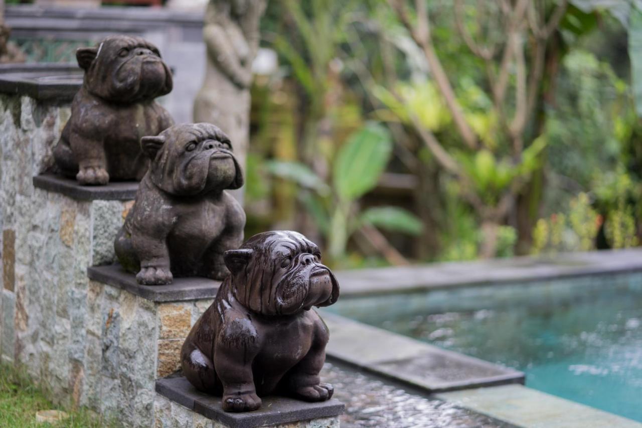 Ketut'S Place Cottage Ubud Dış mekan fotoğraf